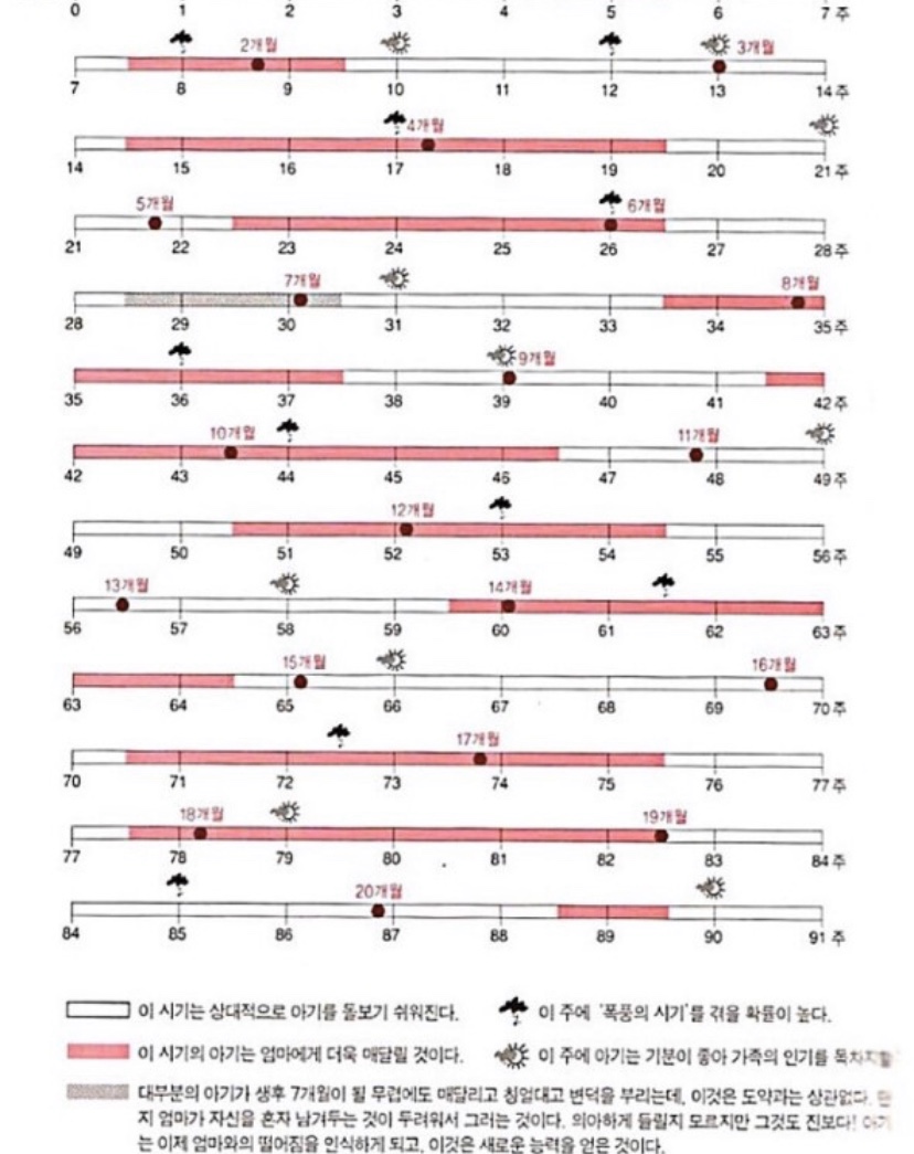 원더웍스 이미지