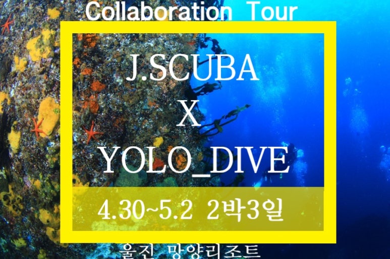 제이스쿠버 이미지