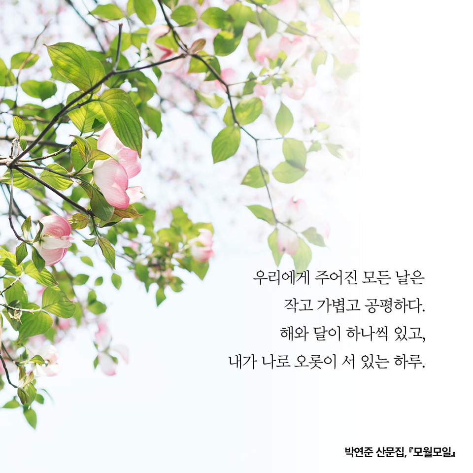 모월모일 이미지