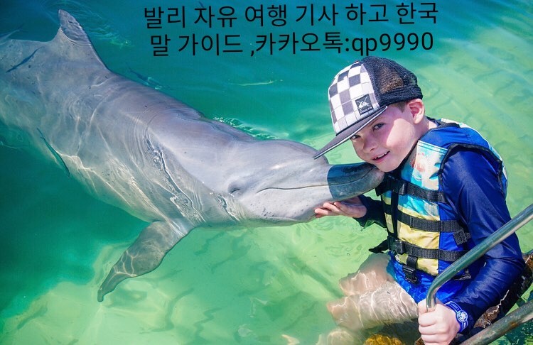 세랑 이미지
