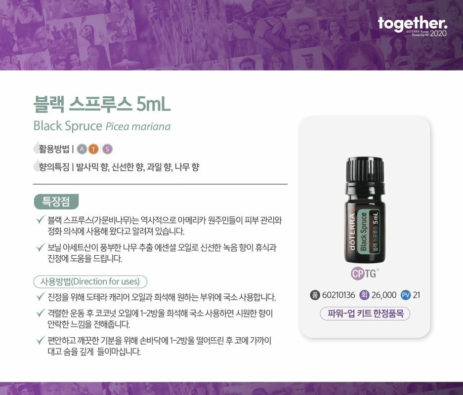 스프루스업 이미지