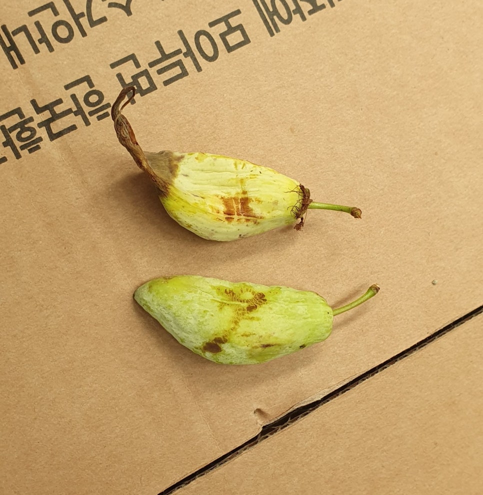 전문농약사 이미지
