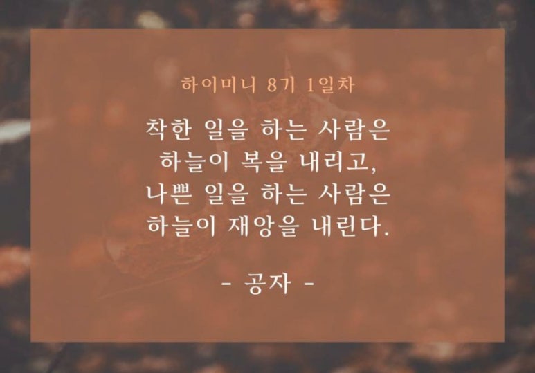 라이프 하이 이미지