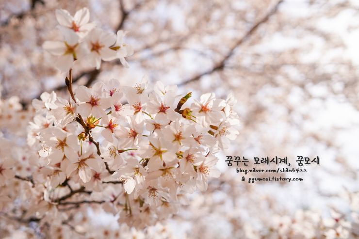 황금베이커리 이미지
