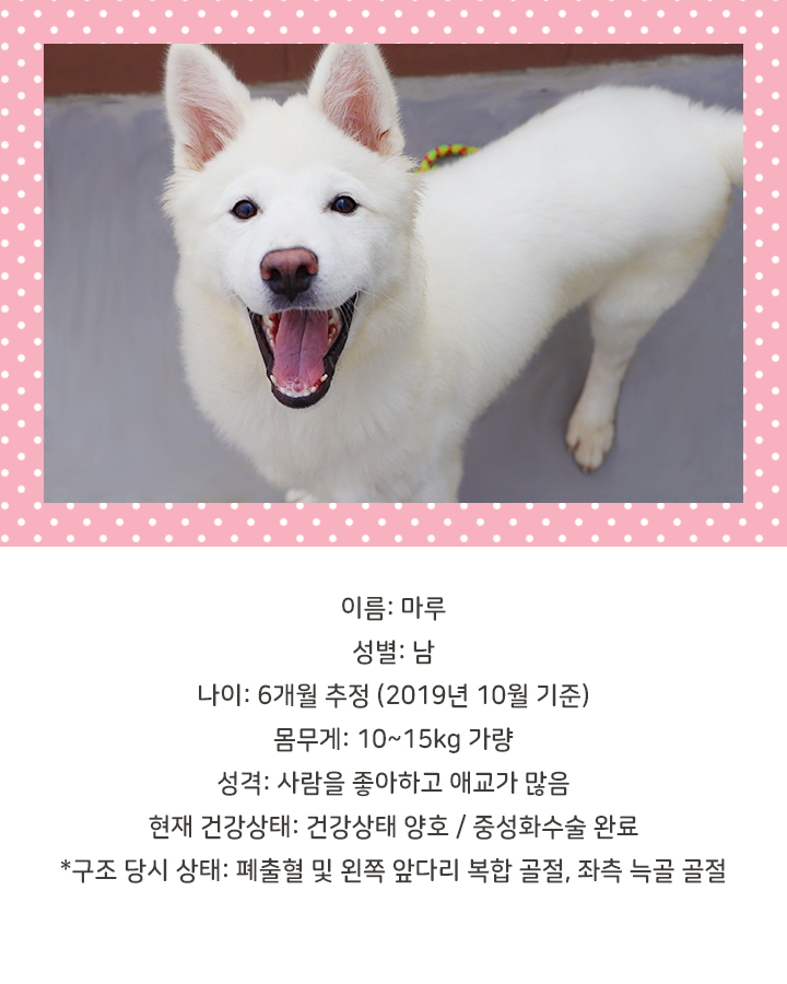 마루마리 이미지