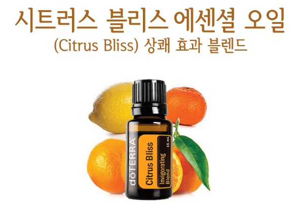 시트러스 이미지
