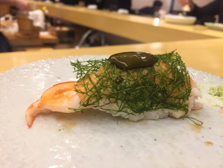 스시쿠모 이미지