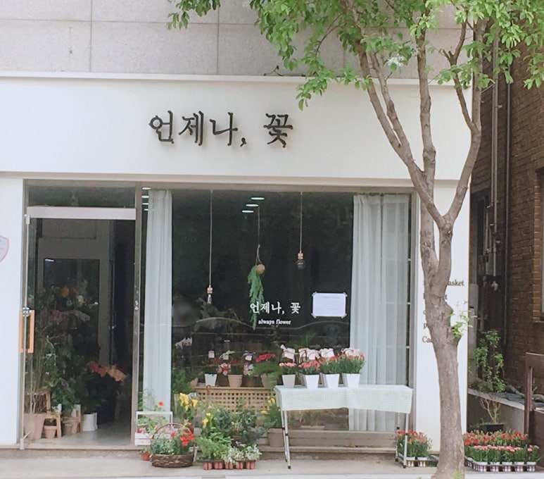 언제나꽃 이미지