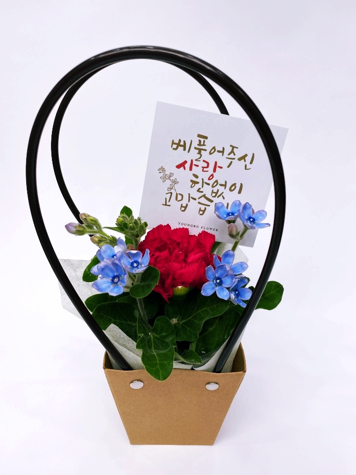 영보꽃방 이미지