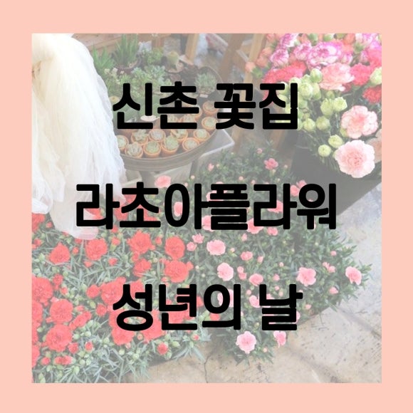 라초아플라워 이미지