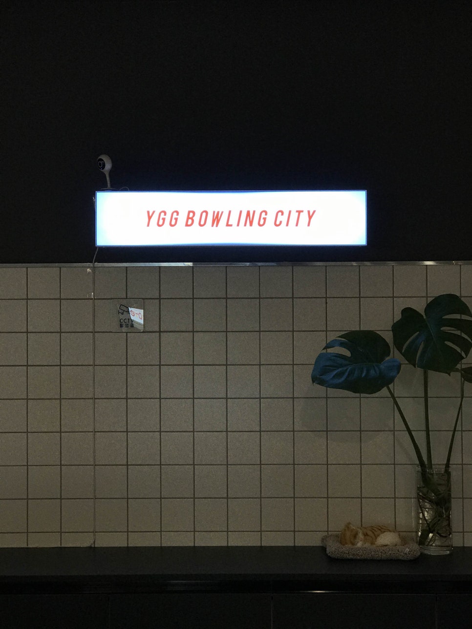 영광볼링장 이미지