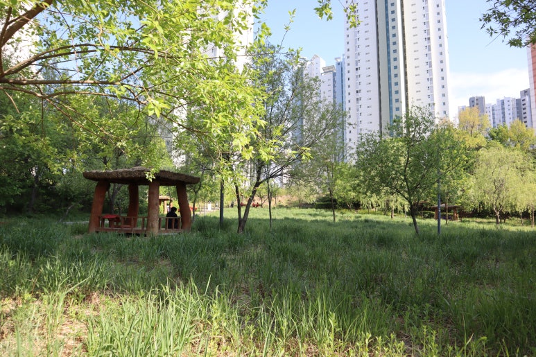 전재울근린공원 유아숲체험원 이미지