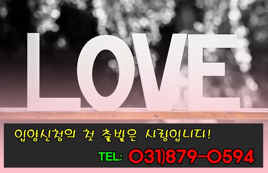 법무사조정관사무소 이미지