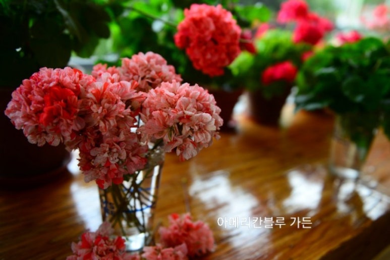 수지뷰티 이미지