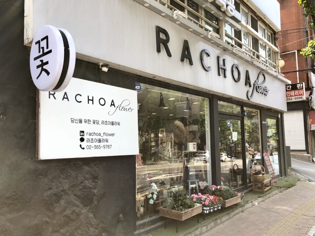 라초아플라워 이미지