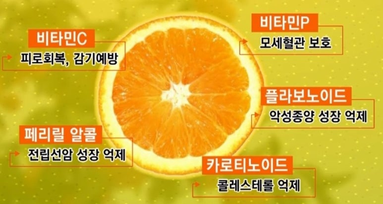명문정약초 이미지