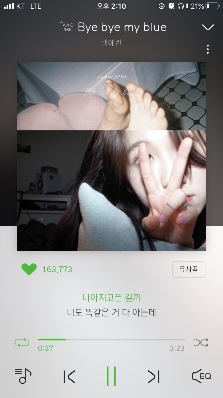 비나 이미지