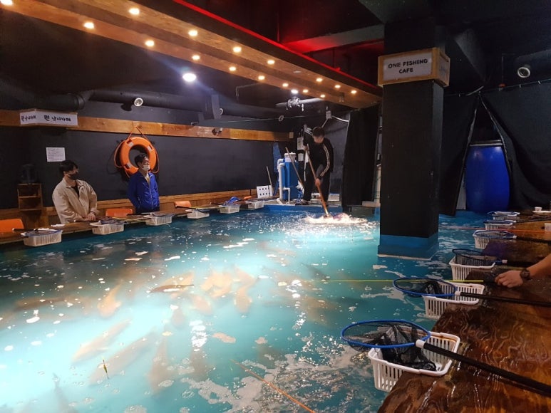 원실내바다낚시 이미지