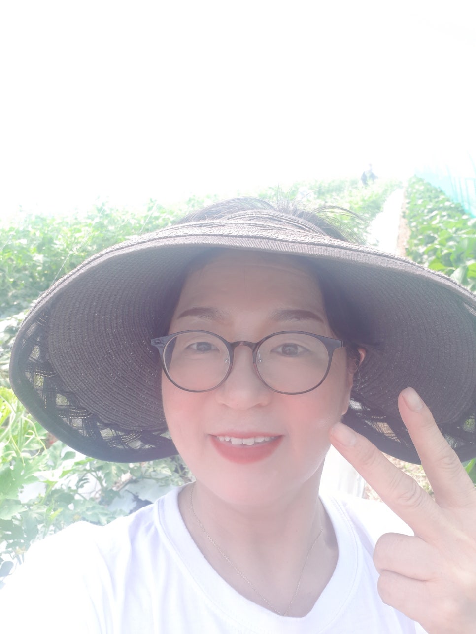 합천이모 이미지
