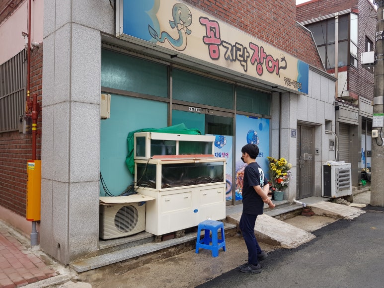 망경장어 이미지