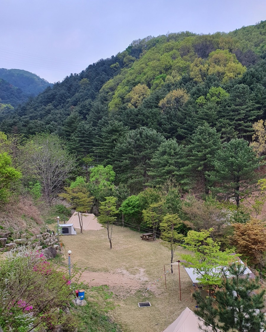 닥박골 휴양림 이미지