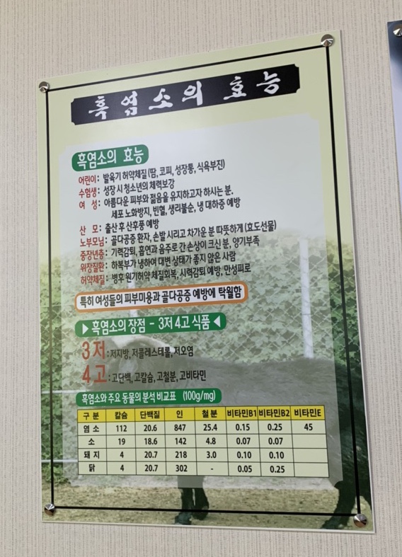 까망흑염소 이미지