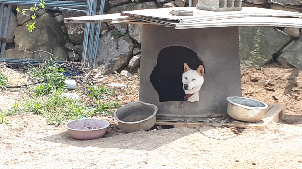 합천이모 이미지