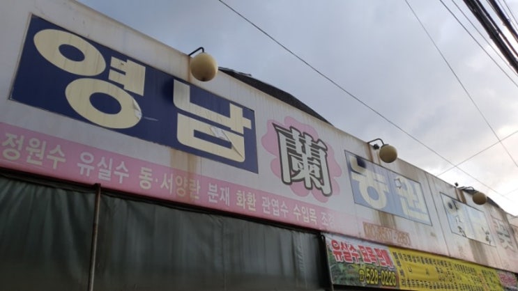 영남화분 이미지
