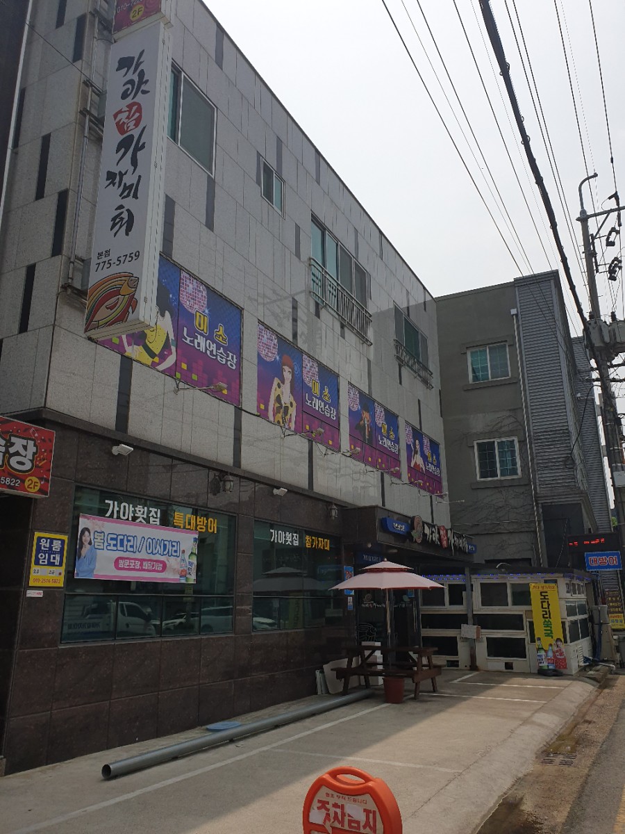 가야참가자미회 이미지