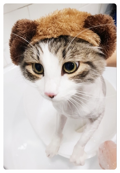 미용천하 이미지