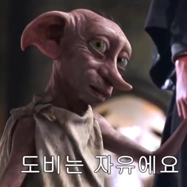보람여행사 이미지