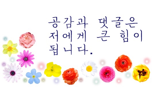 새한플라워 이미지