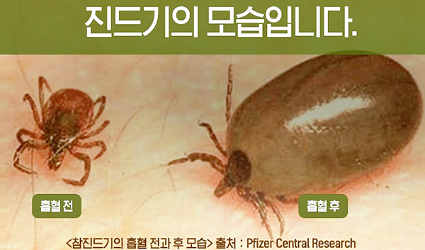 율하반점 이미지