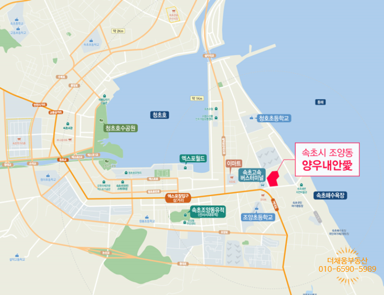 청초화 이미지