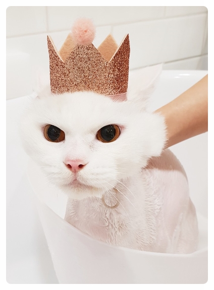 미용천하 이미지