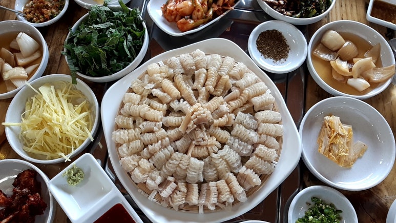 진동돌장어 이미지