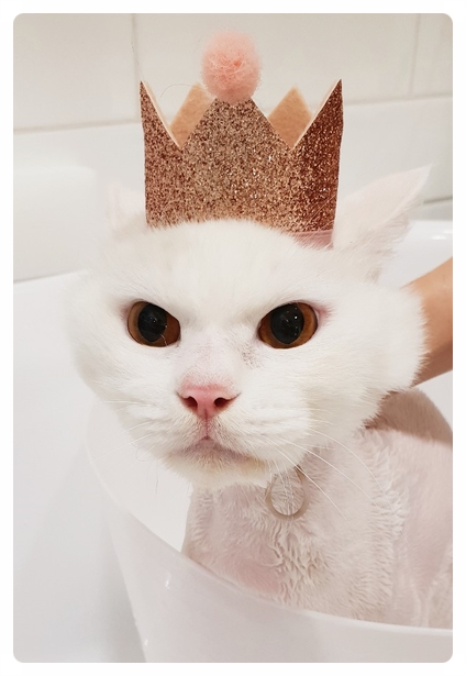 미용천하 이미지