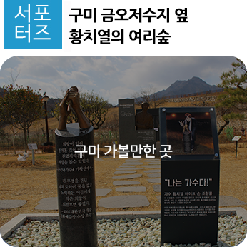 여리안 이미지