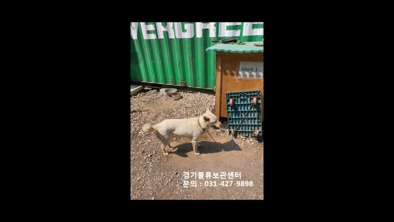 경기물류보관센타 이미지