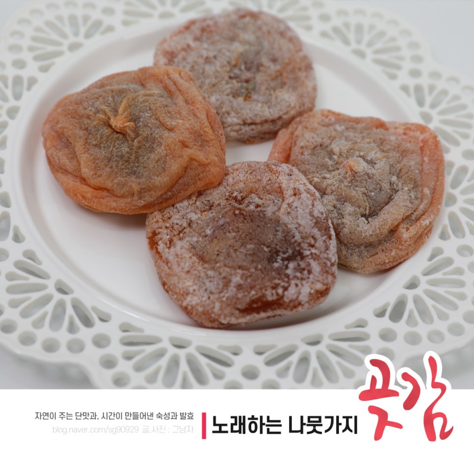 노래하는나뭇가지 이미지