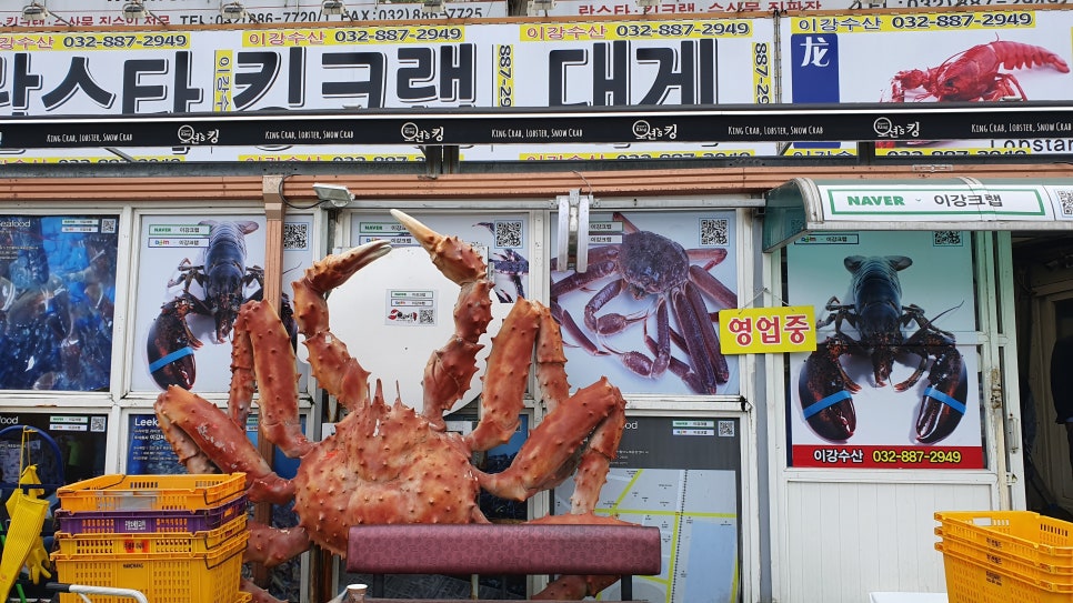 이강크랩 이미지