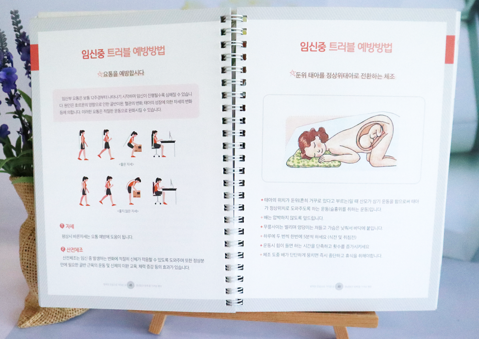 시화박산부인과 이미지