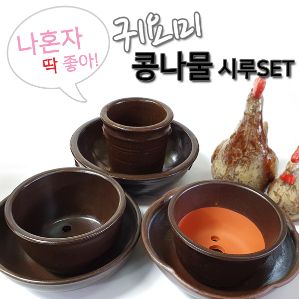 아이시루 이미지