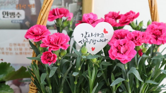 보티브플라워부티크 이미지