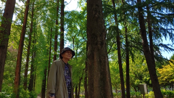 호산삼 이미지