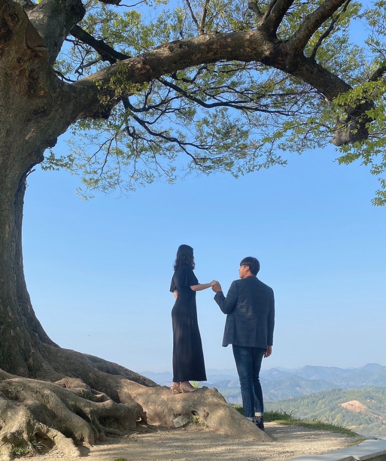 노벨사진관 이미지