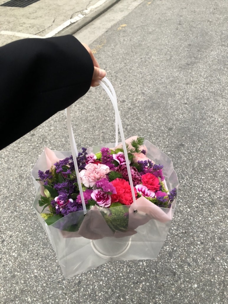 플로미아 이미지