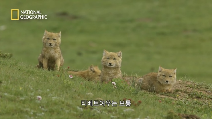 지오그래픽스 이미지