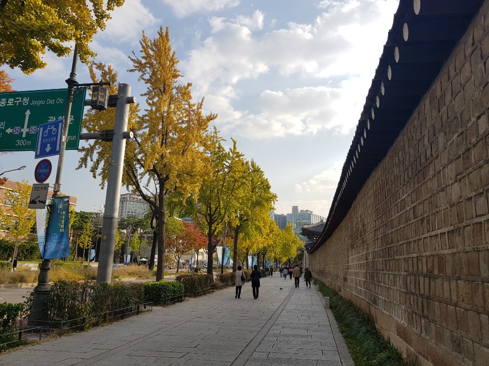 작년에갔던 이미지
