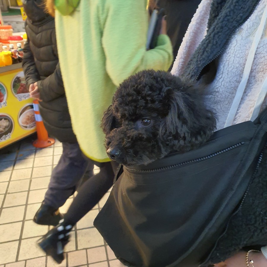 입실닭강정 이미지